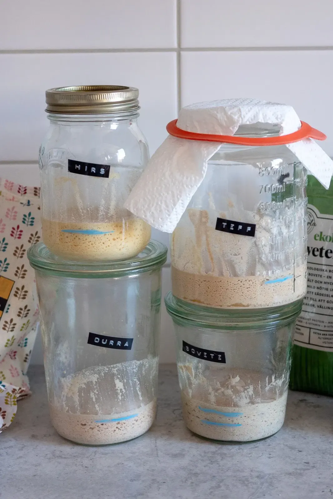glutenfri surdegsstart