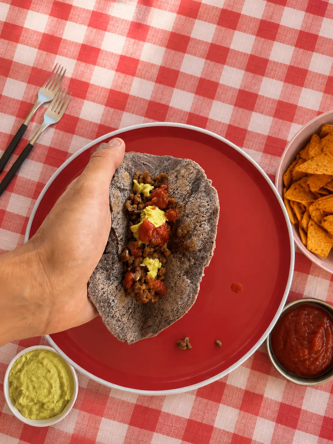hemgjorda tacoskal